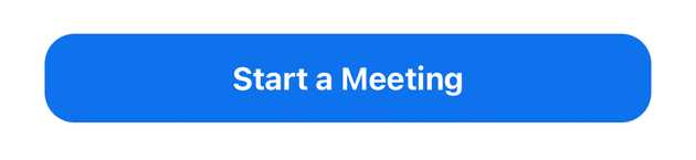 Start a meeting button in Zoom 
